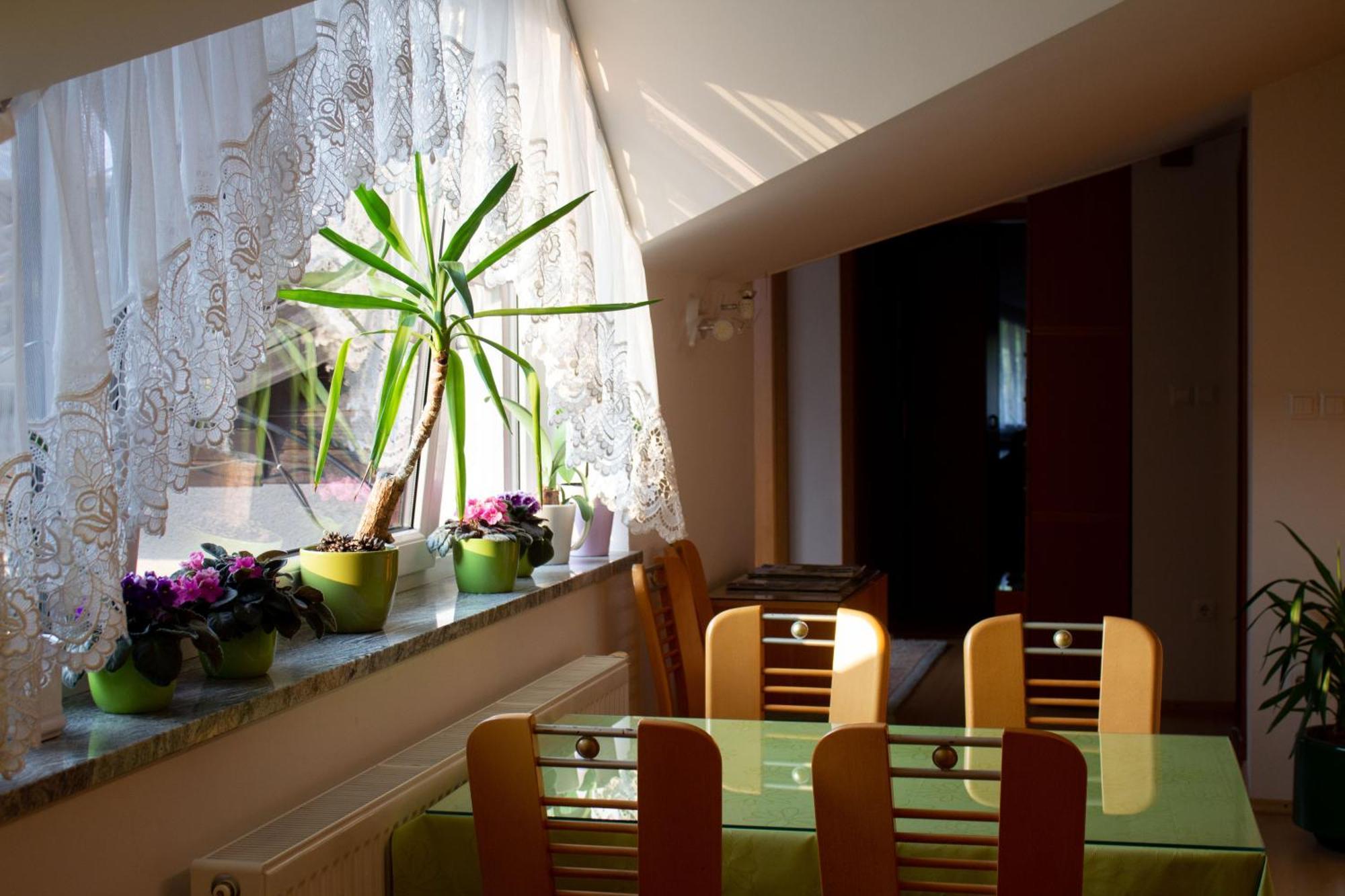 Garden Apartments Jansa Радовлица Стая снимка